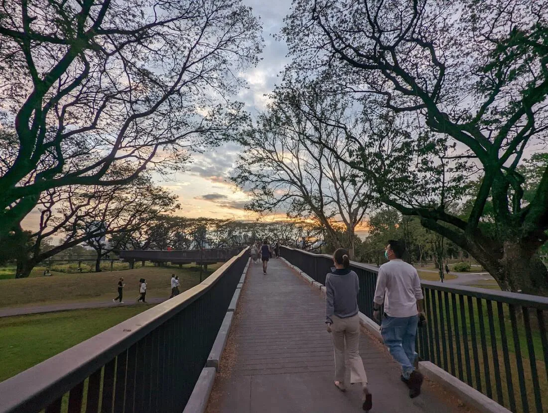 Benjakitti Forest Park at sunset